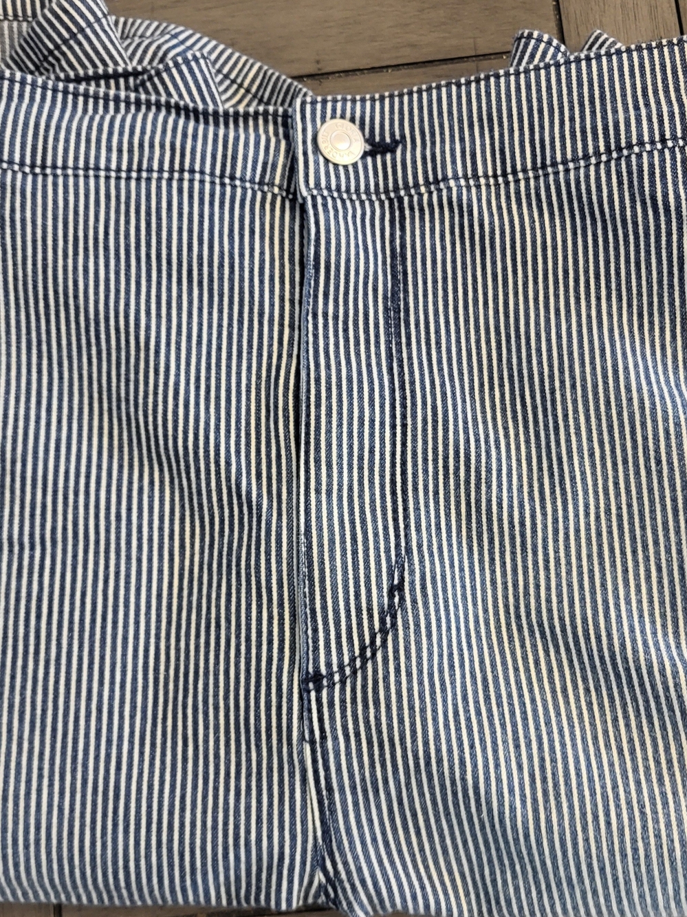 Blue and White Pinstripe Shorts